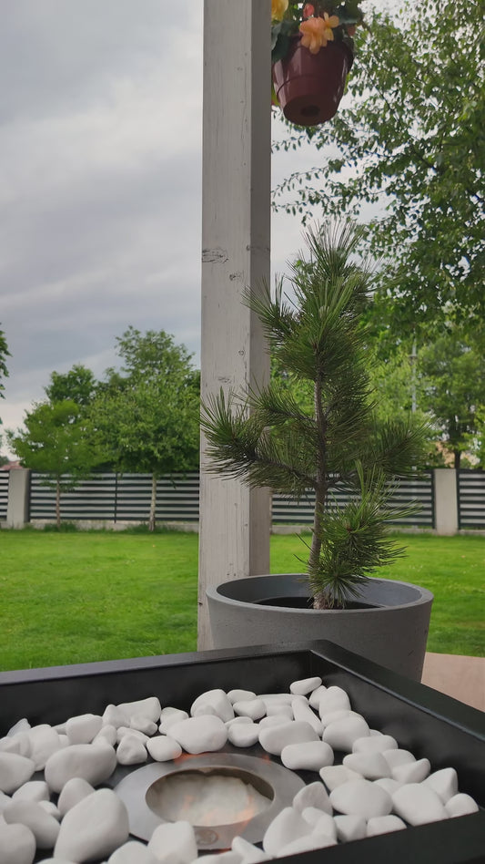 Bioethanol-Standkamin Novium XXL – Schwarz matt